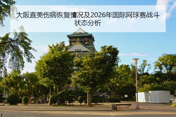 da-ban-zhi-mei-shang-bing-hui-fu-qing-kuang-ji-nian-guo-ji-wang-qiu-sai-zhan-dou-zhuang-tai-fen-xi-2-437.jpg