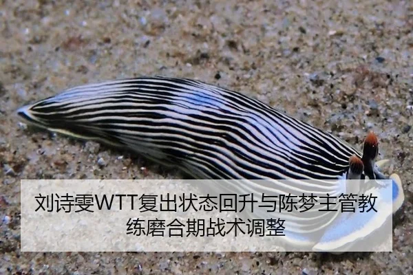 liu-shi-wen-fu-chu-zhuang-tai-hui-sheng-yu-chen-meng-zhu-guan-jiao-lian-mo-he-qi-zhan-shu-tiao-zheng-3-680.jpg