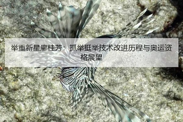 ju-zhong-xin-xing-liao-gui-fang-zhua-ju-ting-ju-ji-shu-gai-jin-li-cheng-yu-ao-yun-zi-ge-zhan-wang-2-636.jpg