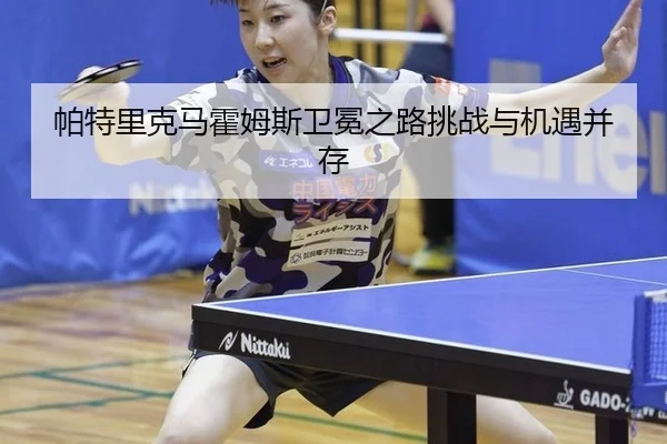 pa-te-li-ke-ma-huo-mu-si-wei-mian-zhi-lu-tiao-zhan-yu-ji-yu-bing-cun-2-243.jpg